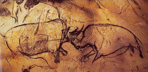 戦う犀、fighting rhinoceroses,Chauvet cave
