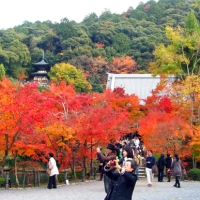 Autumn in Japan  :   Autumnal color of an ancient city