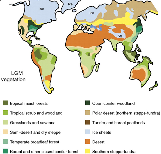 Vegetation of the last glacial maximum LGM (21,000 years ago), 